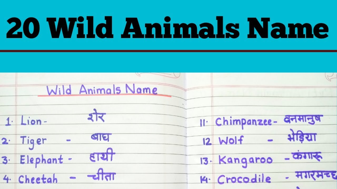 20 Wild Animals Name |Wild Animals Name in Hindi And English | Wild ...