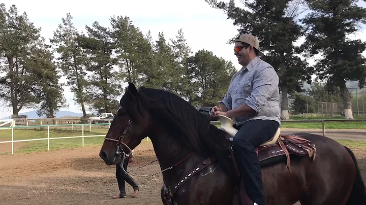 JOSE Luis Pompa horse