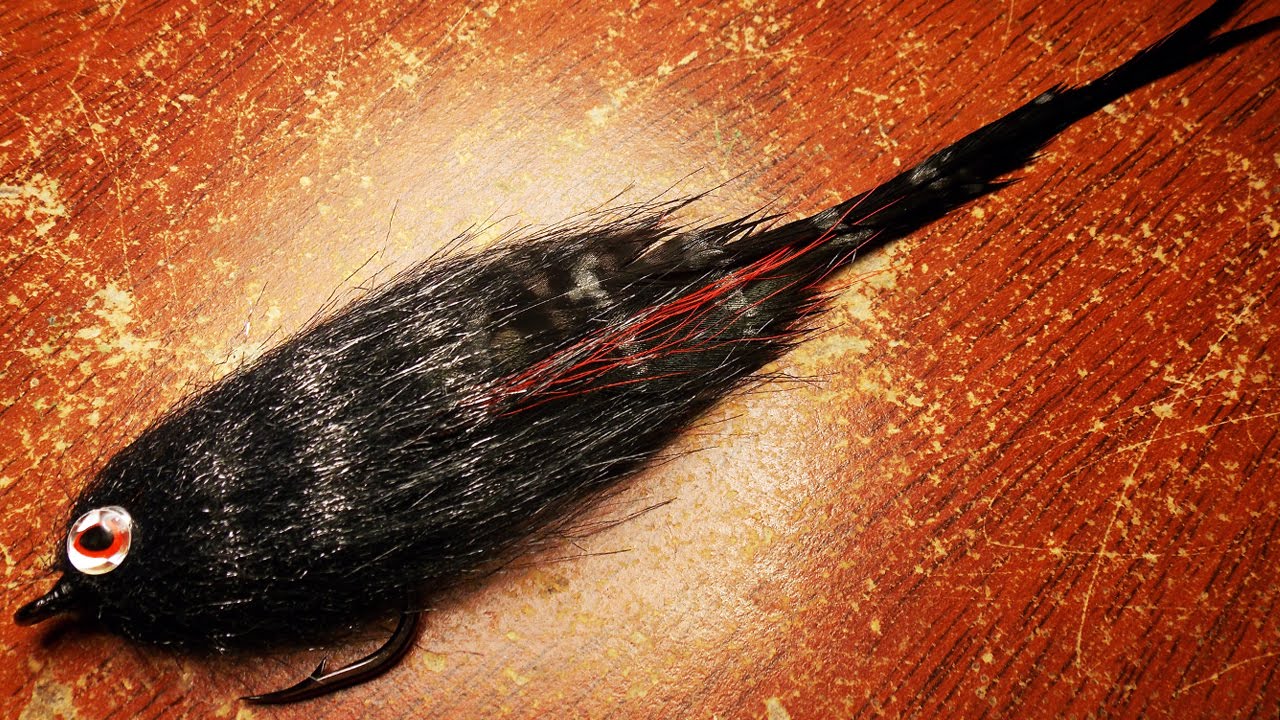 Predator fly for Golden Dorado fly tying instructions by Ruben Martin