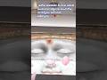 yt#new#youtube#bhakti#viral#om#sai#ram#baba#shirdi#love#trending#short#stetus#shere#watsapp#vlog