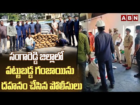 సంగారెడ్డి జిల్లాలో పట్టుబడ్డ గం*జాయిను దహనం చేసిన పోలీసులు | Police Burn Seized Gan*ja | ABN Telugu - ABNTELUGUTV