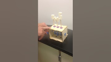 Michael Juliano, Cameron High School, Project Lead the Way Automata