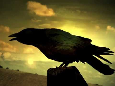 Чёрный Ворон - песня