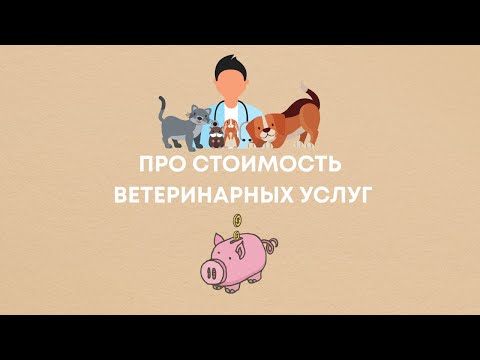 Про стоимость ветеринарных услуг