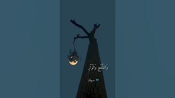 تلاوه رائعه للقارئ الشيخ مشاري البغلي