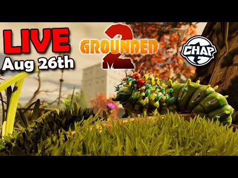 GROUNDED 2 & DK BANANZA | (!discord) (!youtube) (!tts) - GROUNDED 2 & DK BANANZA | (!discord) (!youtube) (!tts)