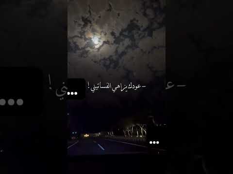 مفصل الخصرين بلملي