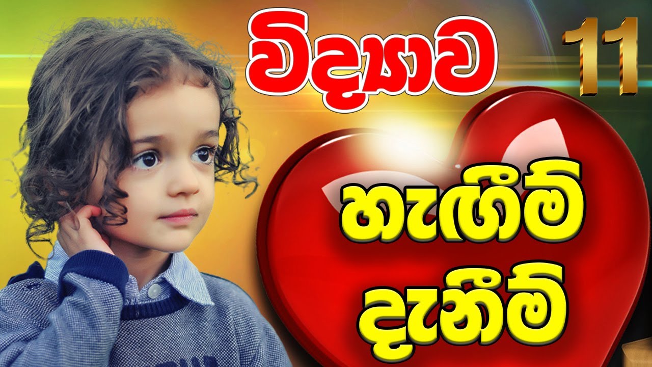 11 විද්‍යාව මිනිසාගේ සමායෝජනය හා සමස්ථිතිය - 🧒🏻👧🏻