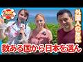 Life in Japan: Why We Never Want To Leave