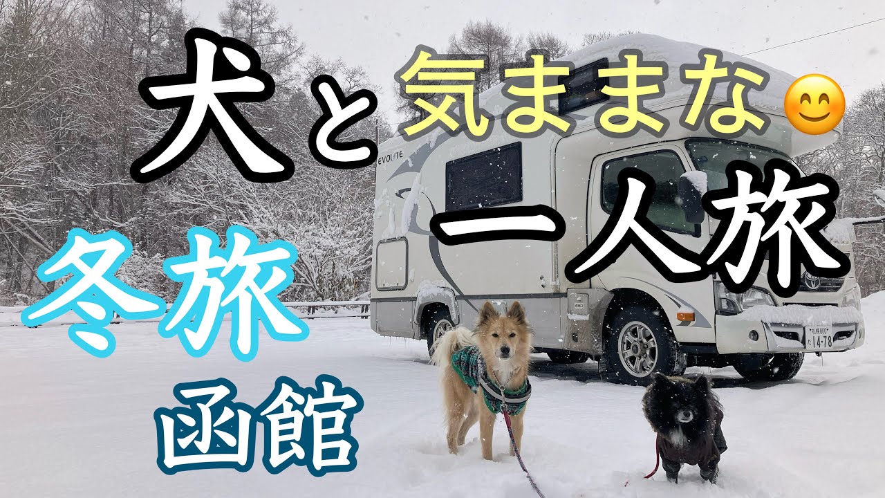 【女一人、犬とキャンピングカー旅】「…またここに来てしまった😅」おひとりさまの旅は気楽に何度でも同じ場所に行ける〜年末年始道南車中泊旅 ⑥