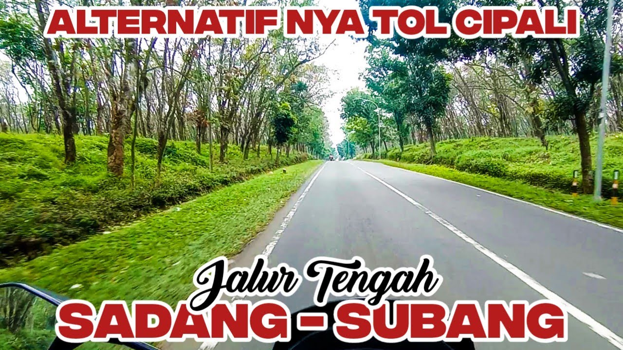 SUNMORI DI HUTAN KARET...‼️ Jalur tengah Sadang ke subang