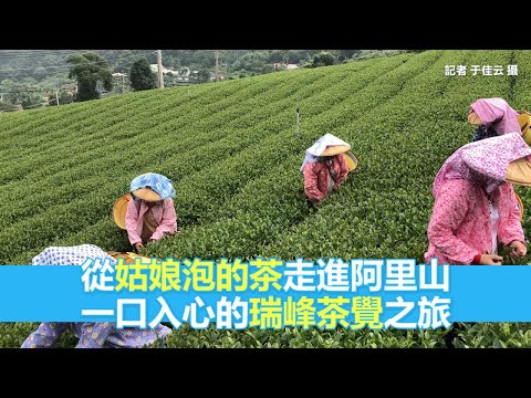 從姑娘泡的茶走進阿里山　一口入心的瑞峰茶覺之旅