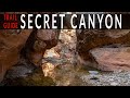 Secret Canyon - Sedona, AZ - Trail Guide to backpacking in the Secret Canyon Wilderness