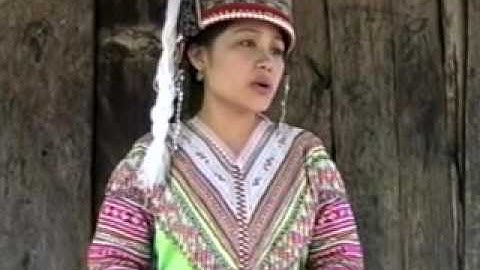 Tsab Ntawv Tu Moo - Tshaus Hawj