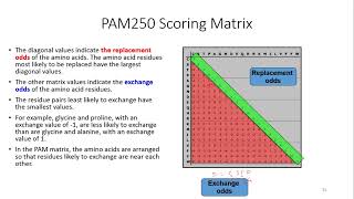 PAM and BLOSUM scoring Matrices