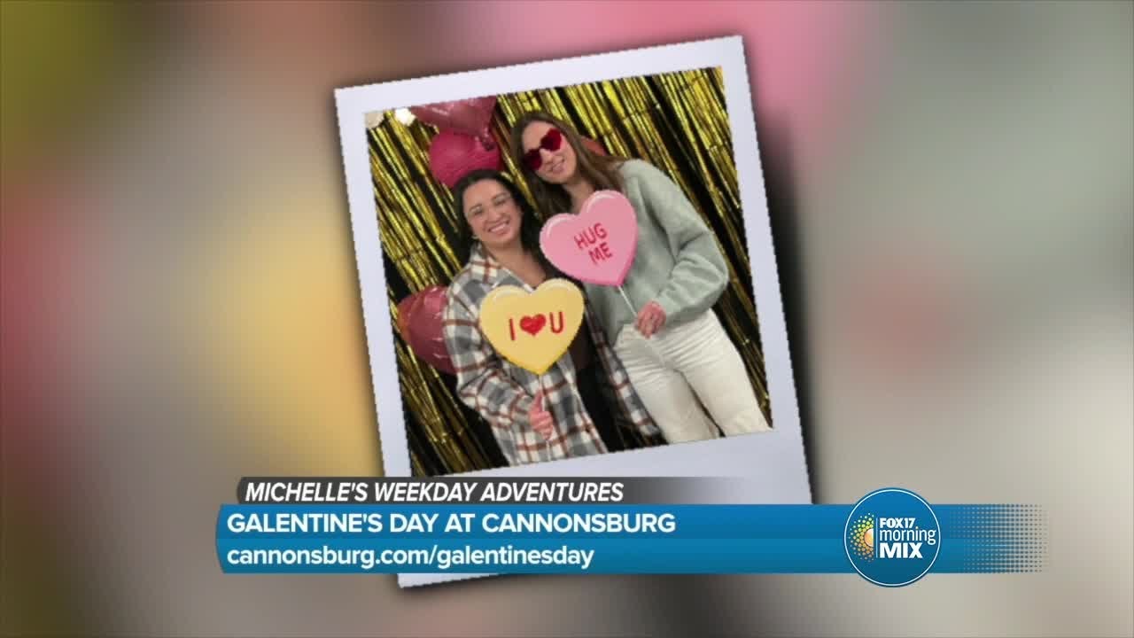 Michelle's Weekday Adventures: Week of February 10