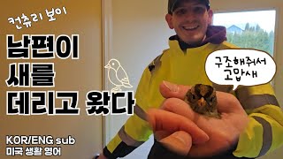 [국제커플vlog] 남편이 새를 데리고 왔다. 꽃 꽃이, 풀드포크 햄버거, 순두부 없는 순두부찌개, 미국식 생선구이?