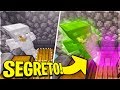 QUESTO MONDO NASCONDE UN SEGRETO! - Minecraft ITA 1.15 Tour