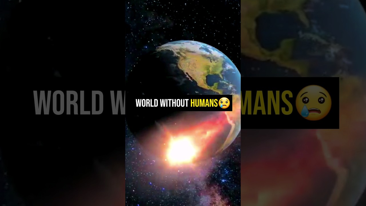 World Without HUMANS | Hope You Feel The Message😓 