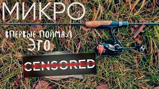 видео: Впервые поймал ЭТУ рыбу на УЛЬТРАЛАЙТ ► МИКРОДЖИГ картинка: Впервые поймал ЭТУ рыбу на УЛЬТРАЛАЙТ ► МИКРОДЖИГ