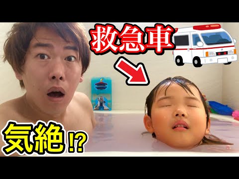 ここちゃん ここちゃん大活躍 - YouTube