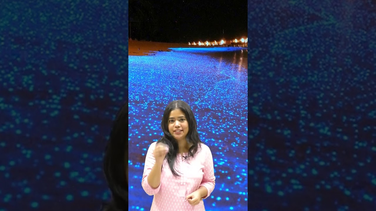 BHANGRAM BEACH OF LAKSHADWEEP | YOUR CLASS | Anushya Ma'am 