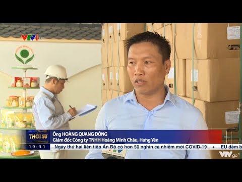 XUẤT KHẨU BỘT