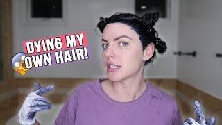 DYED MY OWN HAIR AT HOME! (How to get salon quality hair color)