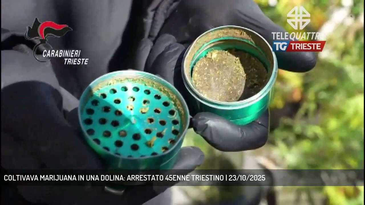 COLTIVAVA MARIJUANA IN UNA DOLINA: ARRESTATO 45ENNE TRIESTINO | 23/10/2025