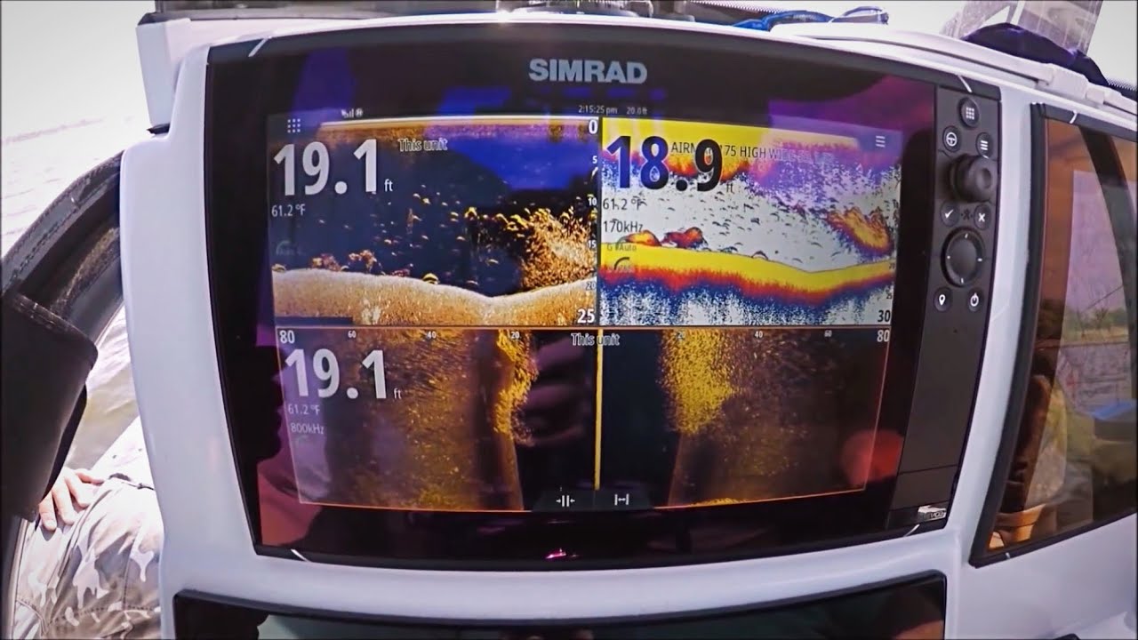 Finding Big Stripers in SHALLOW Water!! Striper Fishing Cut Bait! YouTube