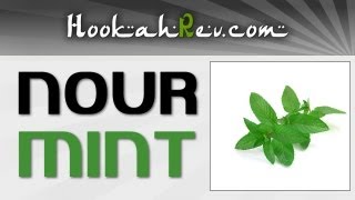 Nour Mint