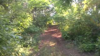 WP 20150623 002