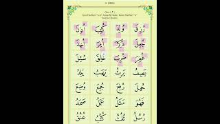 Elif Ba 8.Ders Ötre