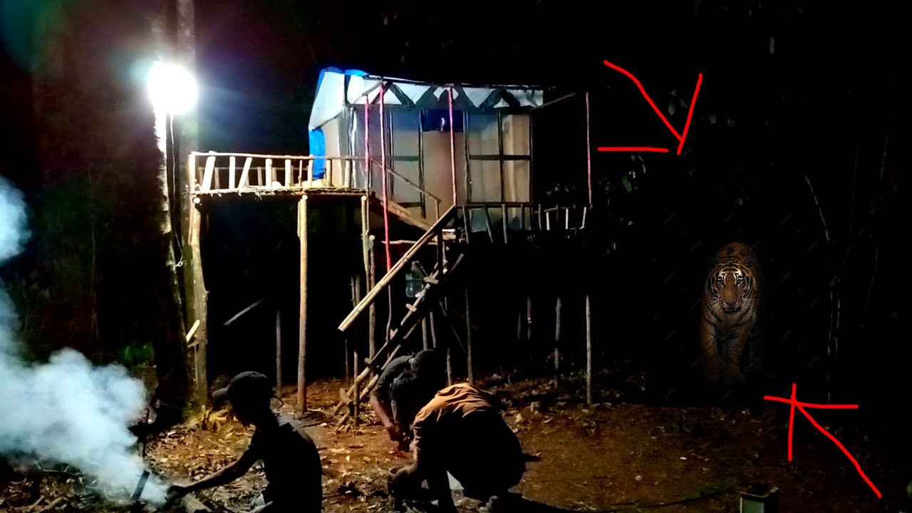 Camping di dalam hutan badan kami gemetar saat terdengar suara harimau mengaum di dekat Selter kami