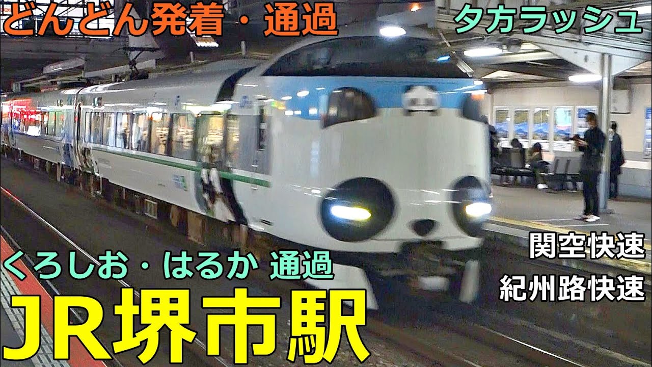 JR堺市駅🚃どんどん電車が発着・通過！●くろしお、はるか、関空・紀州路快速 等／夕方ラッシュ 阪和線【JR西日本】