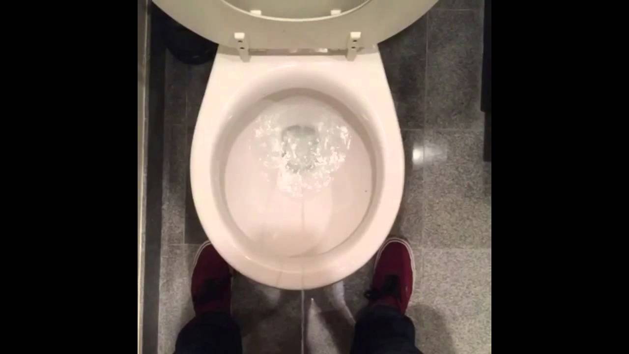 Friendship -  by Ry Doon