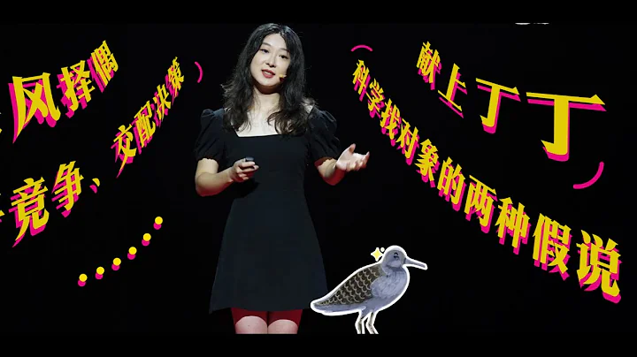 【一席】王雲珂：擇偶與偏見 ~在性研究領域，我們自動忽略了那些不渴望交配的大多數。 - 天天要聞