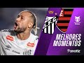 Santos 1 X 0 Flamengo I Melhores Momentos I Brasileirão 2025 Santos 1 X 0 Flamengo I Melhores Momentos I Brasileirão 2025