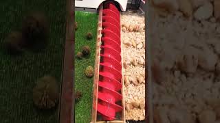 Hydropower Generation - Germany 2022