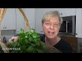 How to Dry Parsley in the Oven