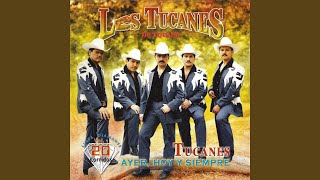 Video thumbnail of "Los Tucanes de Tijuana - El Centenario"