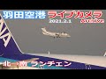 ①羽田空港 ライブカメラ 2021/2/1 Planespotting Live from TOKYO HANEDA Airport  離着陸 Landing Takeoff ライブ配信