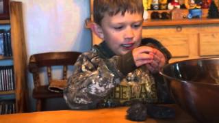 DIY  Surprise Dino Eggs | The World of Awesomeness