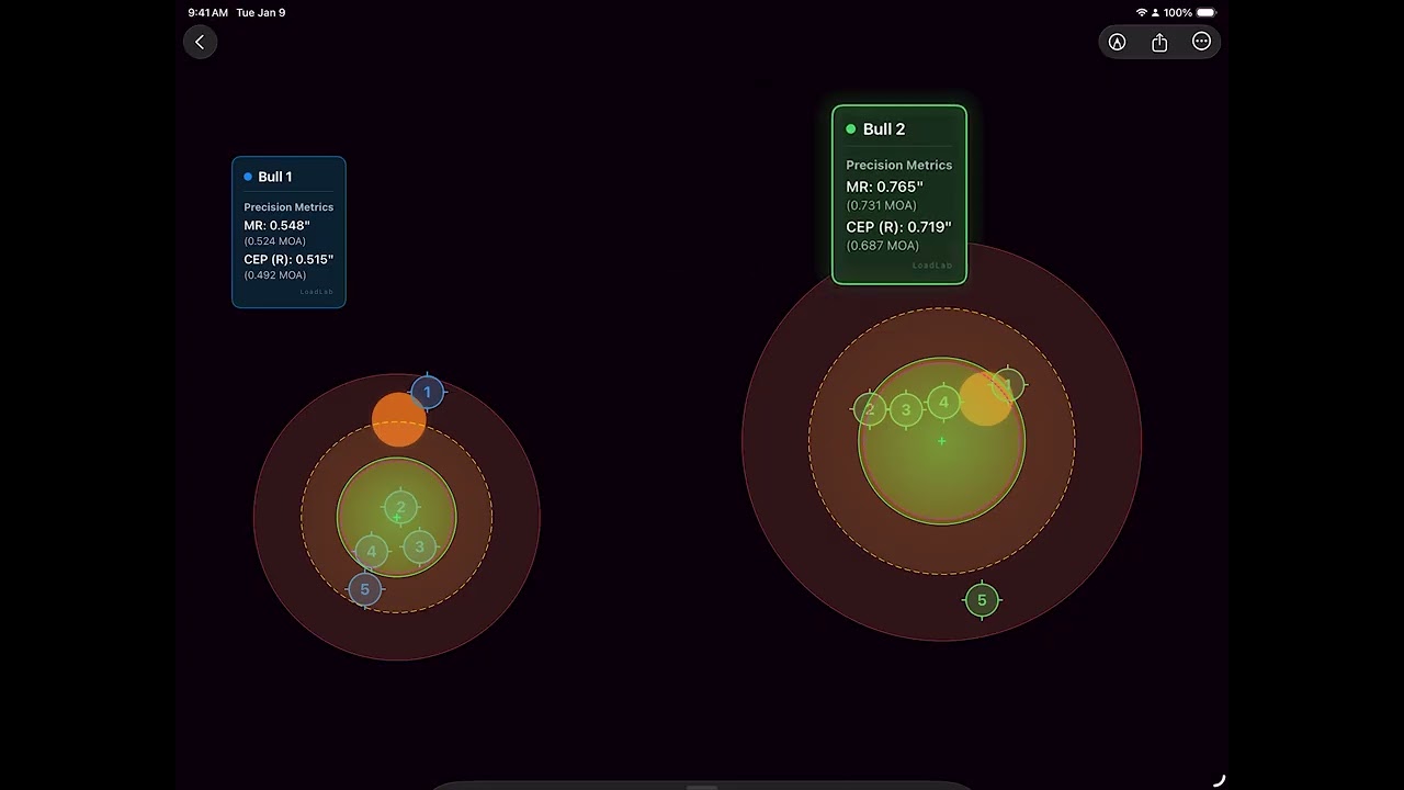 Review Bulls - Legends