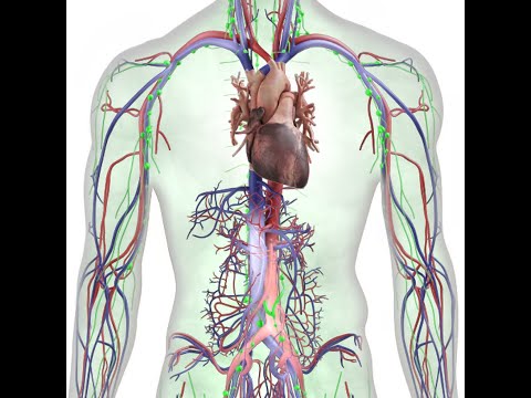Lymphedema