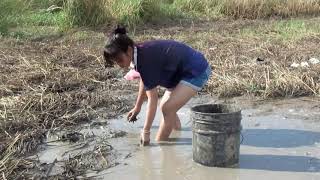 Beautiful Girl Fishing  Amazing Fishing In Cambodia