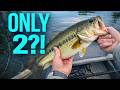 Only 2 BASS on the Fly… But They Were worth it!