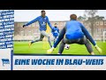 HaHoHe - Eine Woche in Blau-Weiß | 15. Spieltag | Arminia Bielefeld vs. Hertha BSC