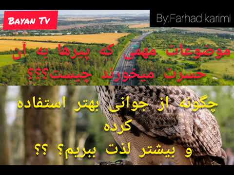 ۳۵ موضوعی که پیرها بدان حسرت میخورند چیست