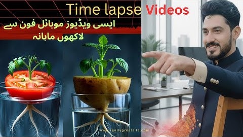 How To create vegetables germination time lapse video with Ai 🔥